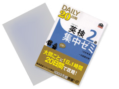 『DAILY20日間集中ゼミ』シリーズ 改訂新版/旺文社