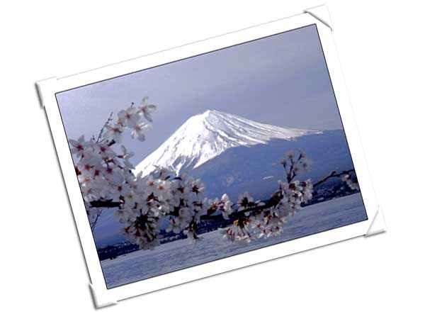 富士山 絶景