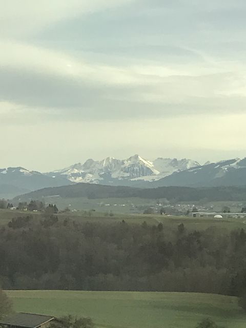 スイスのアルプスの山々