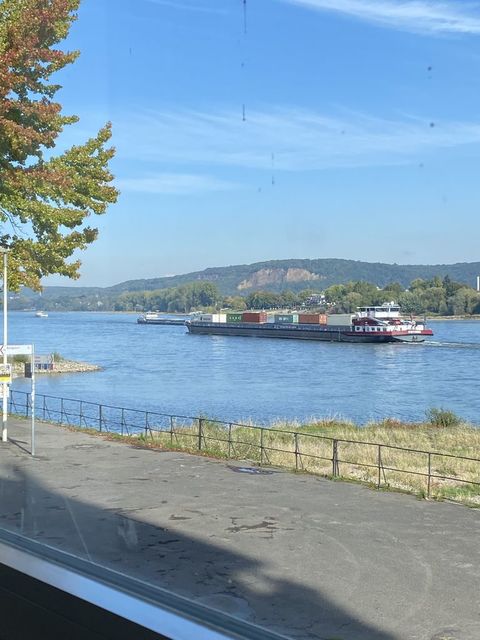 ライン川のバート・ゴーデスベルク付近を通過するコンテナ船