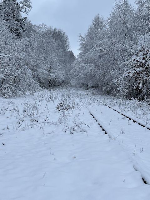 雪と森林で覆われる引き込み線と駅跡