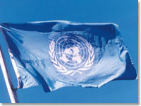国際連合旗