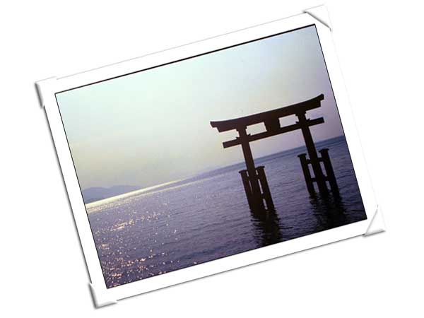 琵琶湖 絶景